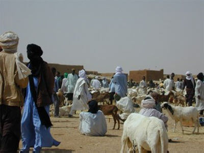 Marché Agadez 2018