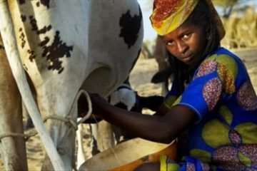lait-fille-Niger